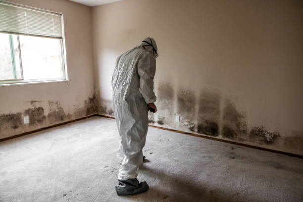 Best Residential Mold Removal  in Waldpt, OR